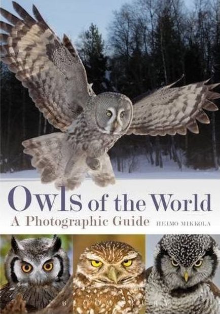 Owls of the World