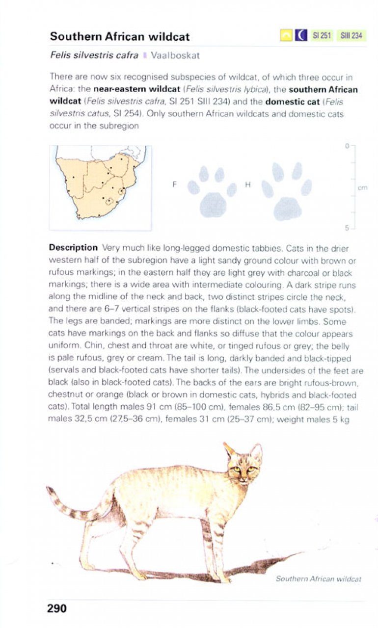 Smithers Mammals Of Southern Africa A Field Guide Nhbs
