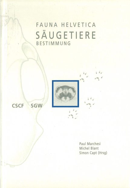 Fauna Helvetica 22: Säugetiere Bestimmung [Mammals of Switzerland] [German]
