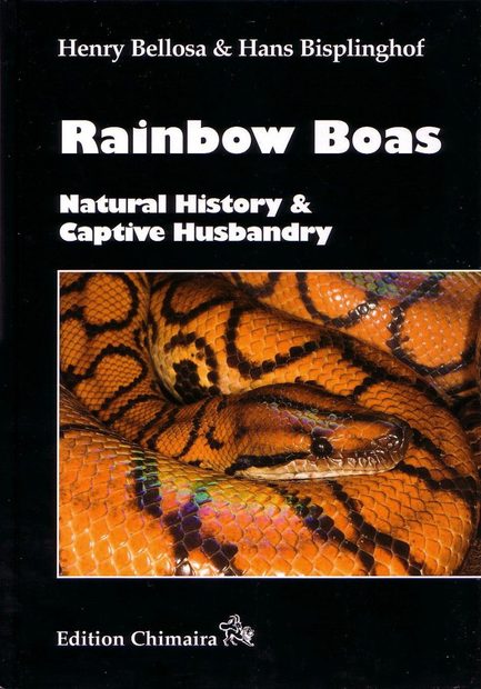 Rainbow Boas