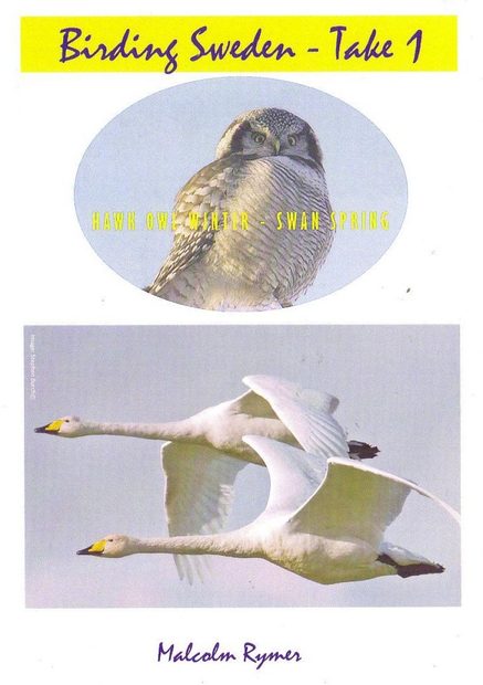 Birding Sweden, Take 1 (All Regions)