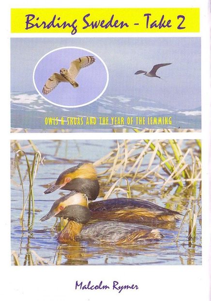 Birding Sweden, Take 2 (All Regions)