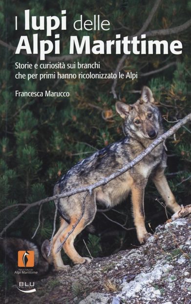 Lupi delle Alpi Marittime: Storie e Curiosità dei Branchi che Hanno Ricolonizzato le Alpi [Wolves of the Maritime Alps: Stories and Curiosities of Packs that Have Recolonized the Alps]