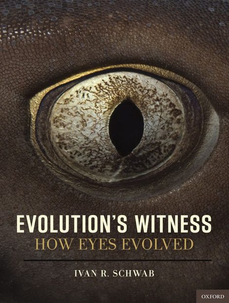 Evolutions Witness How Eyes Evolved Nhbs Academic And Professional Books 4770