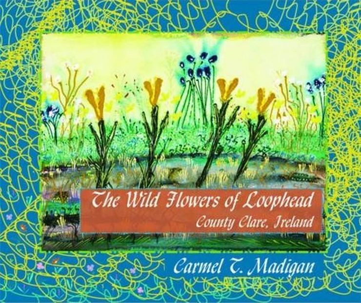 The Wild Flowers of Loophead, County Clare, Ireland