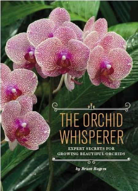 The Orchid Whisperer
