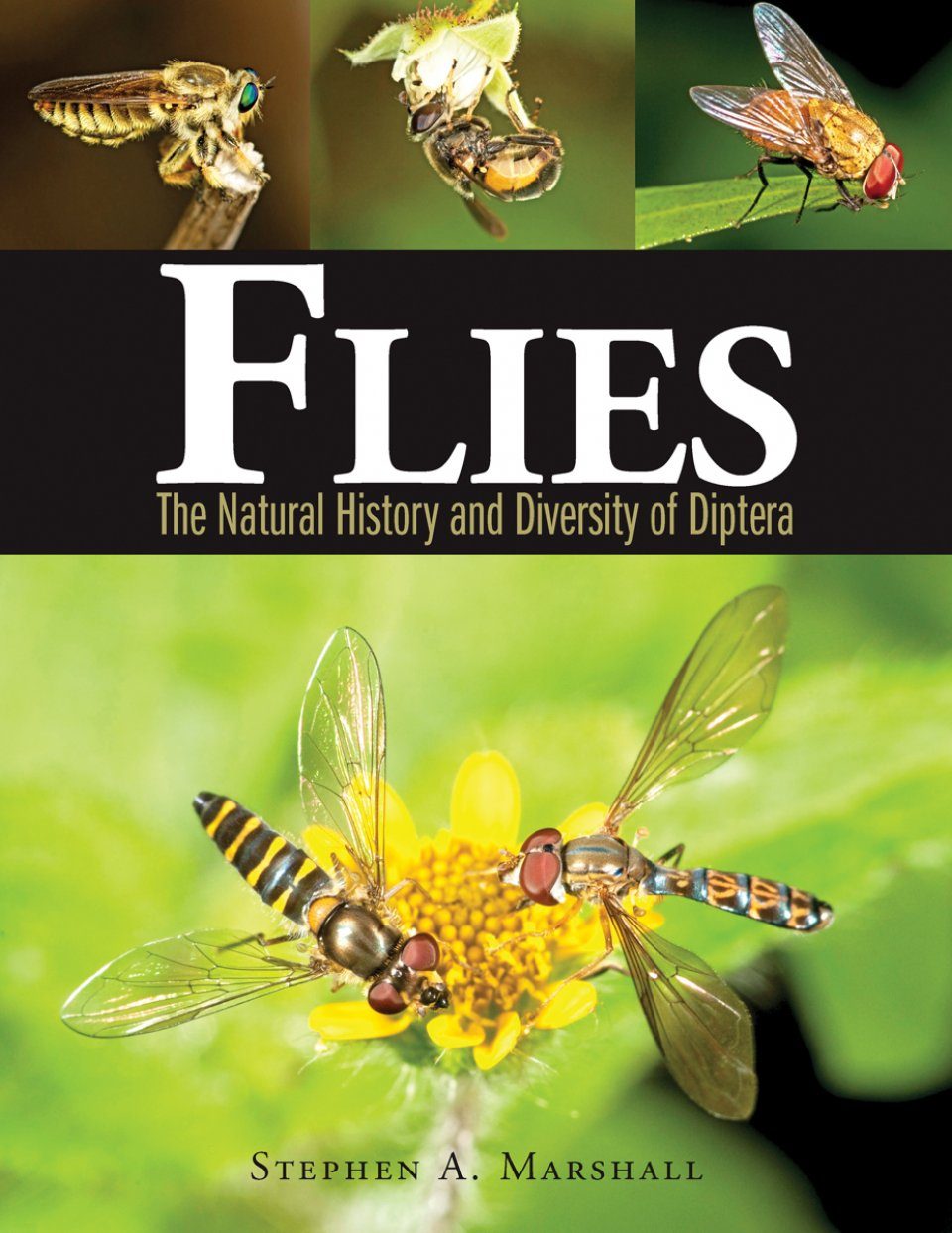 Flies The Natural History And Diversity Of Diptera Nhbs