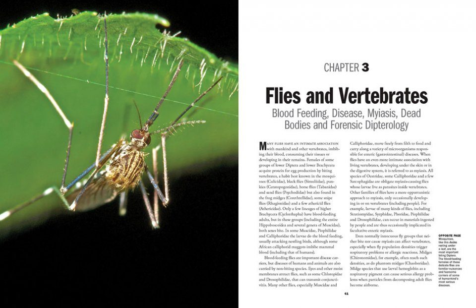Flies The Natural History And Diversity Of Diptera Nhbs