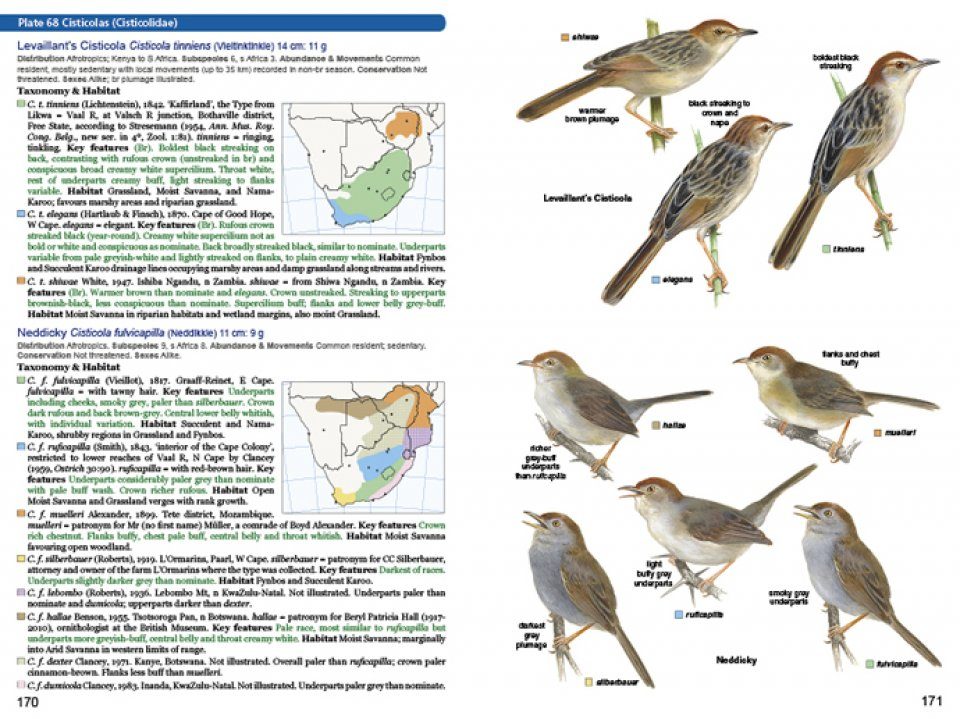 Roberts Geographic Variation Of Southern African Birds