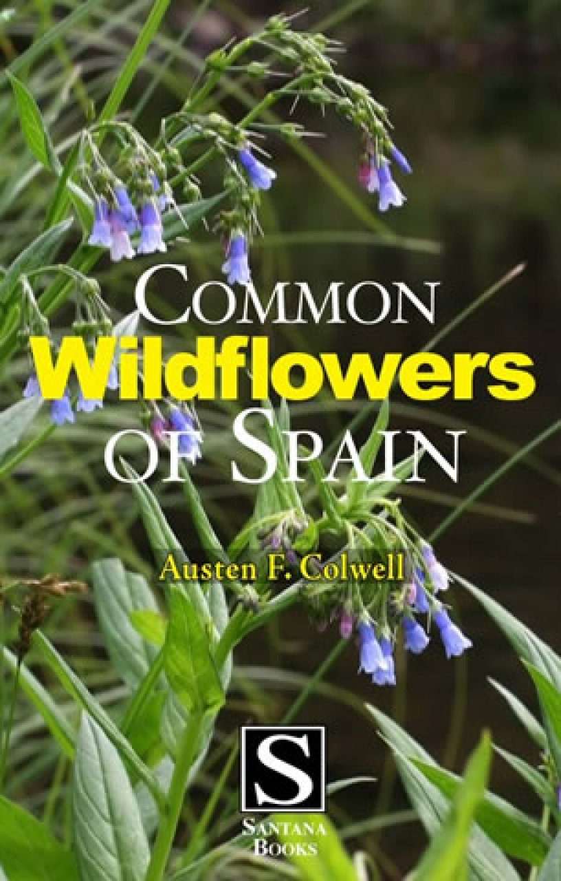 Common Wildflowers of Spain NHBS Field Guides & Natural History
