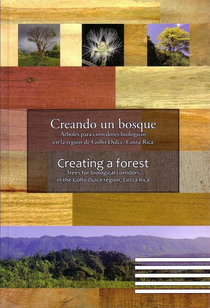 Creating a Forest / Creando un Bosque