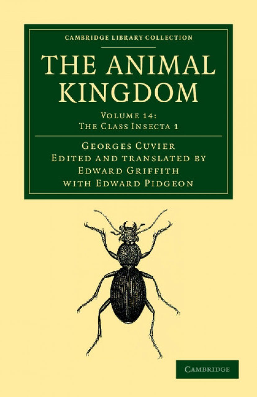 The Animal Kingdom, Volume 14: The Class Insecta 1 | NHBS Academic &  Professional Books