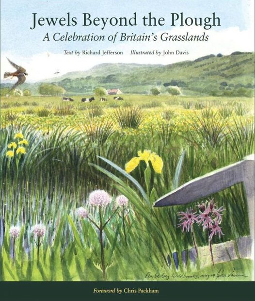 Jewels Beyond the Plough