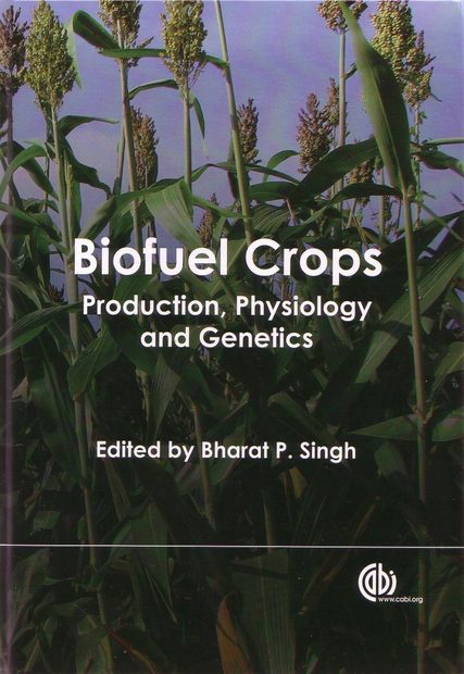 Biofuel Crops