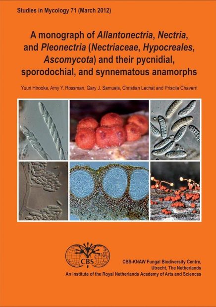A Monograph of Allantonectria, Nectria, and Pleonectria (Nectriaceae, Hypocreales, Ascomycota) and their Pycnidial, Sporodochial, and Synnematous Anamorphs.