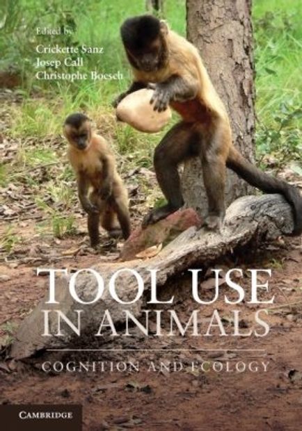 Tool Use in Animals