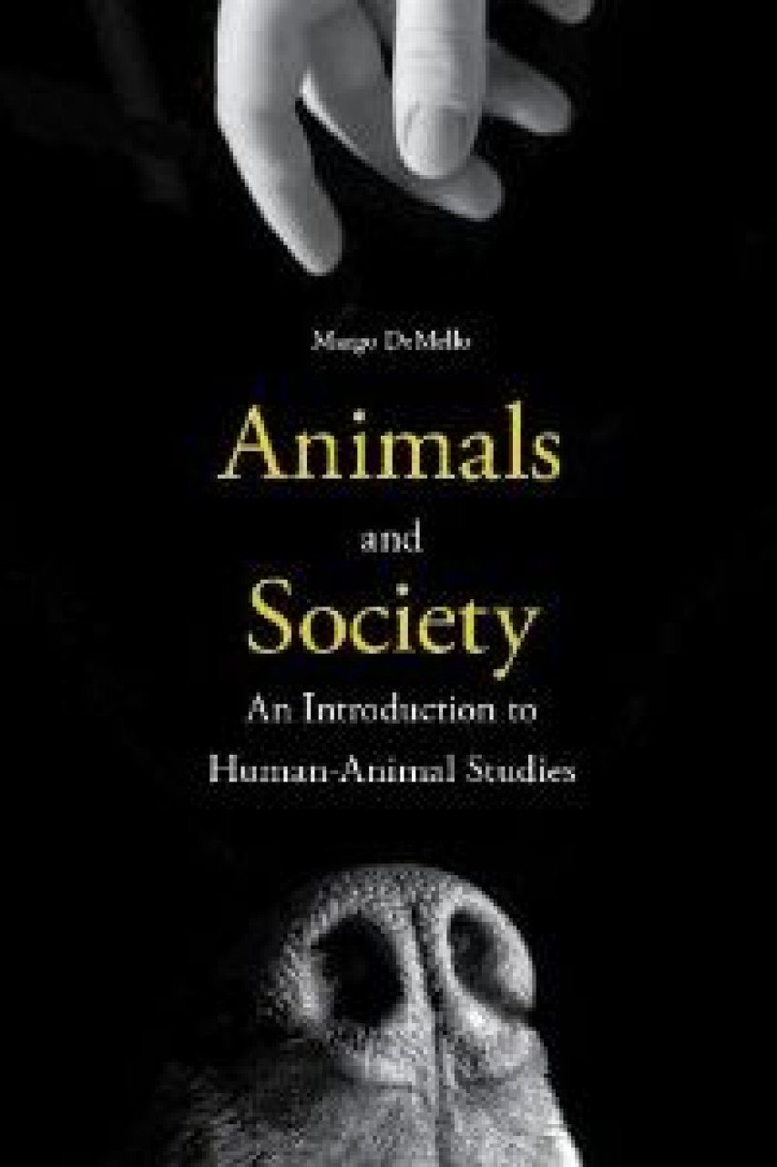 Studying animals. Animal studies. Животное человек книга the Human animal.