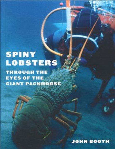 Spiny Lobsters