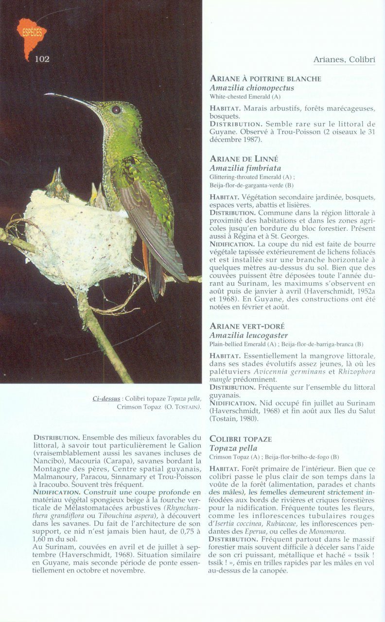 The Birds of French Guiana / Les Oiseaux de Guyane: Biologie, Ecologie,  Protection, Repartition | NHBS Academic & Professional Books