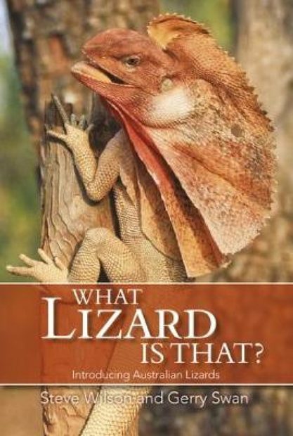 What Lizard Is That?
