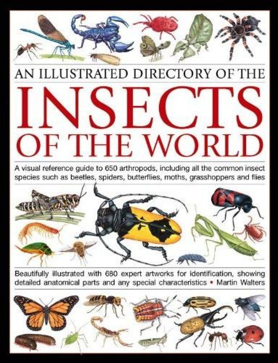 Illustrated Directory Of Insects Of The World Martin