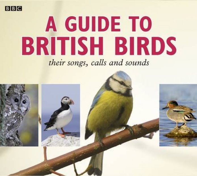 A Guide to British Birds Box Set (4CD)