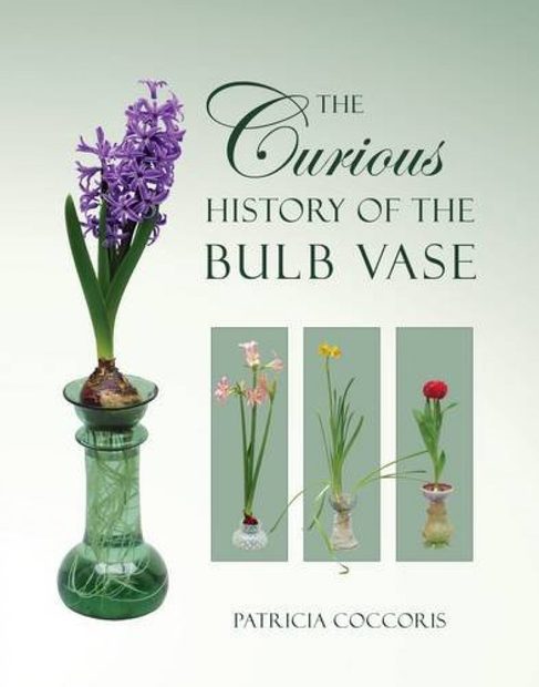 The Curious History of the Bulb Vase
