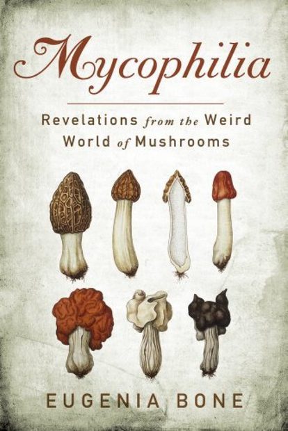 Mycophilia