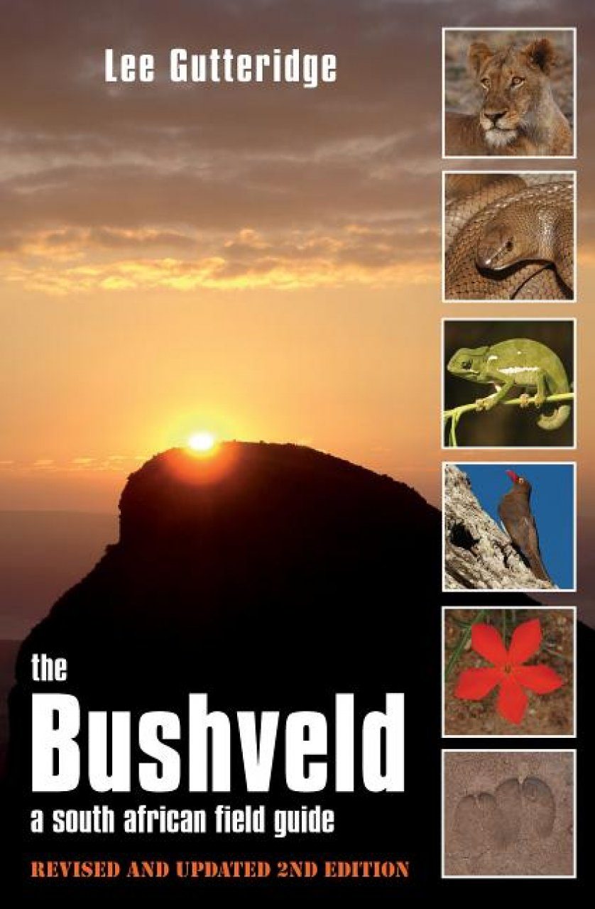 The Bushveld Including The Kruger Lowveld A South African