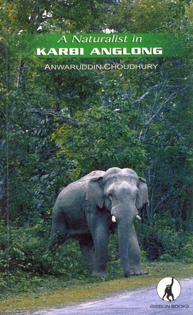 A Naturalist in Karbi Anglong