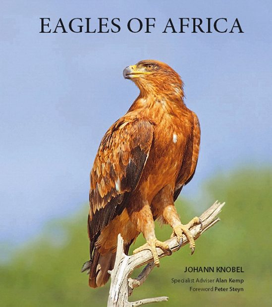 Eagles of Africa