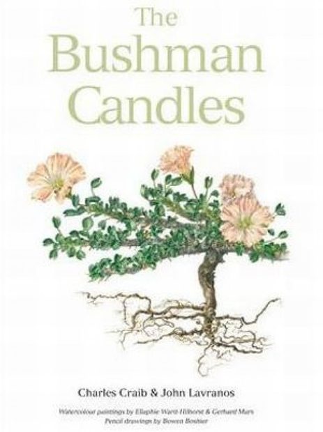 The Bushman Candles