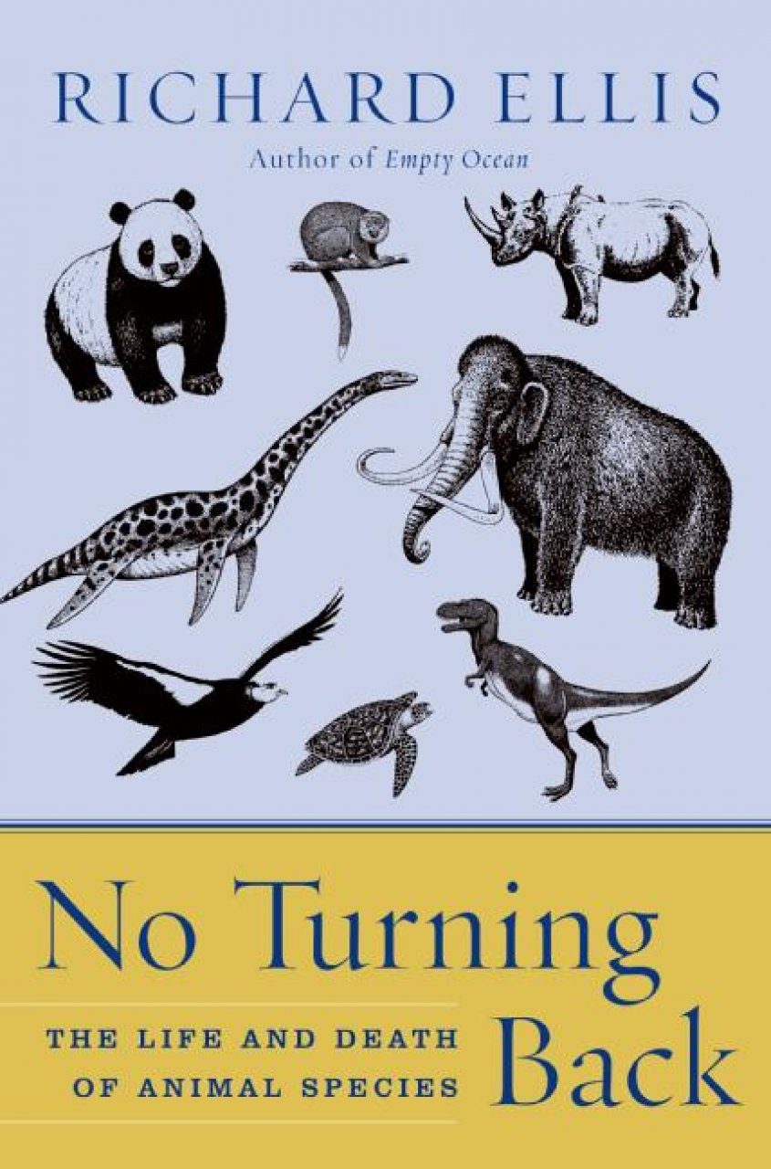 No Turning Back: The Life and Death of Animal Species | NHBS Academic &  Professional Books