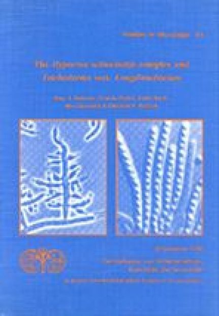 The Hypocrea schweinitzii Complex and Trichoderma sect. Longibrachiatum