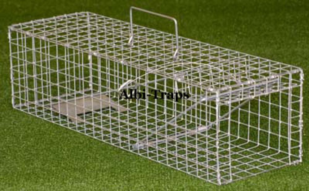 Albion Mink/Squirrel Trap