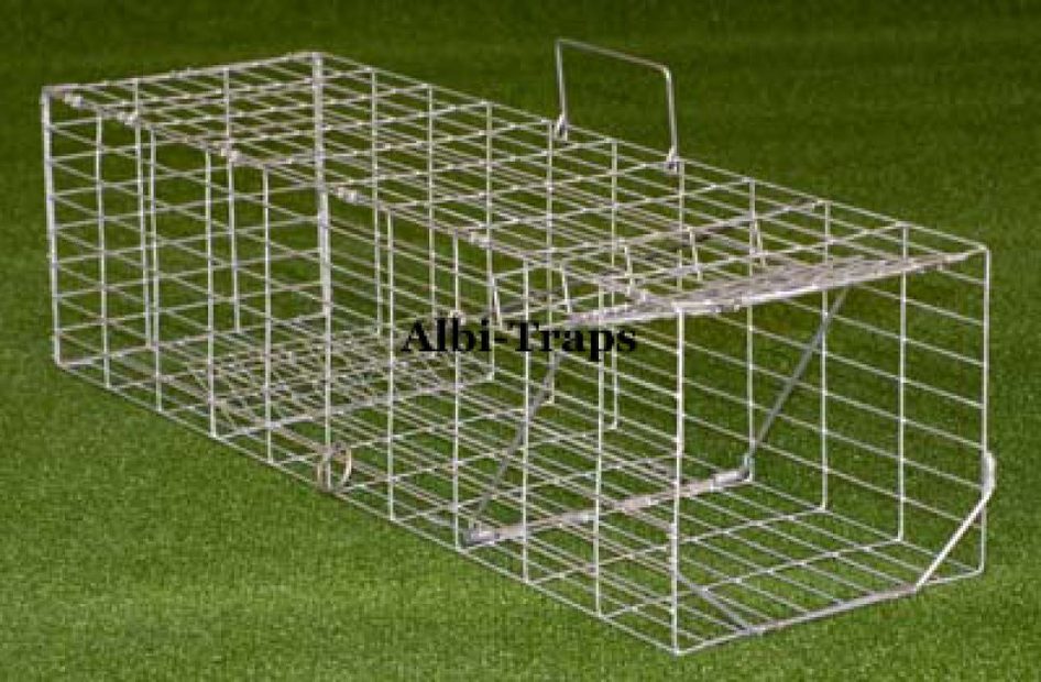 Albion Humane Rabbit Trap