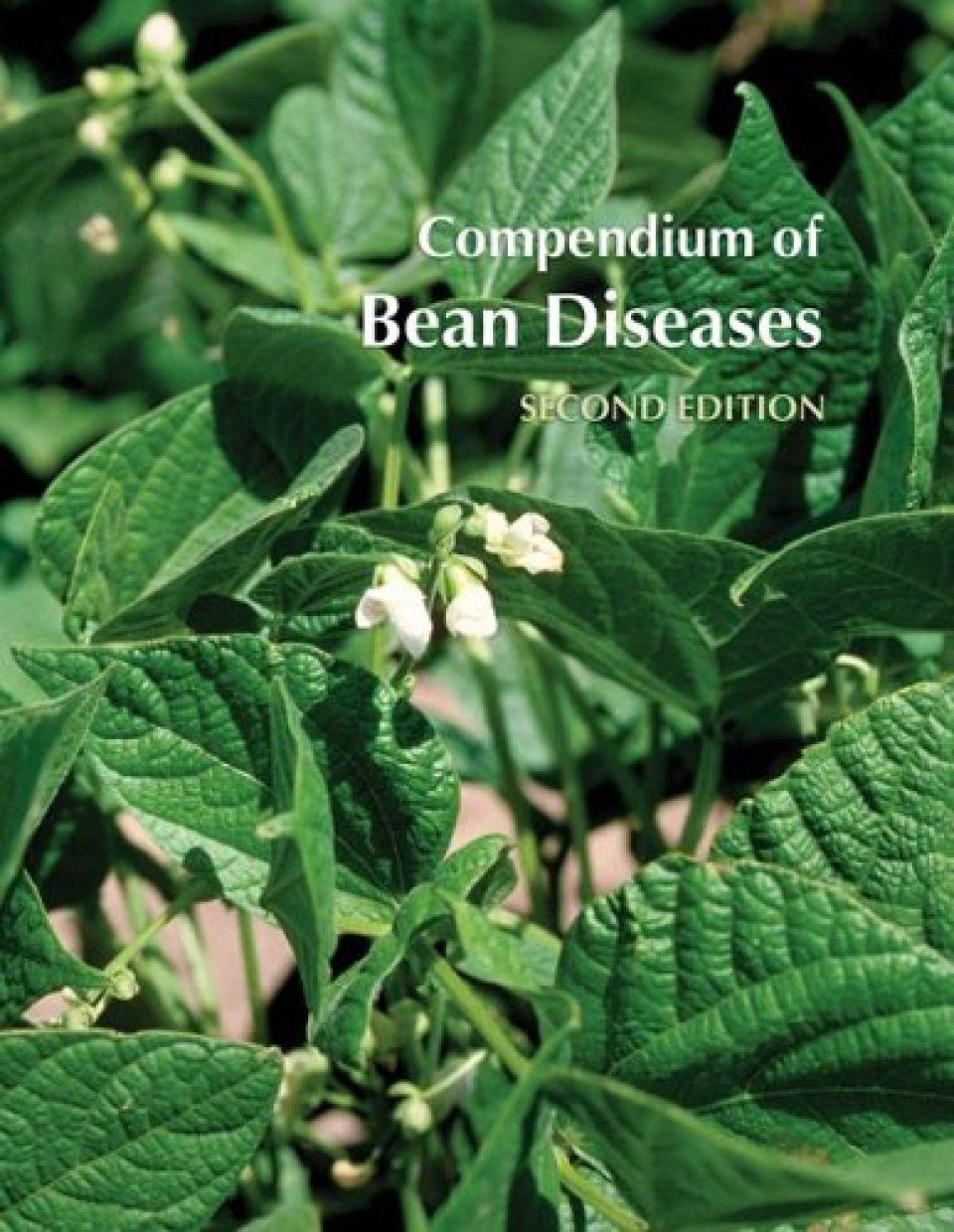 Compendium Of Bean Diseases Nhbs Academic Professional Books