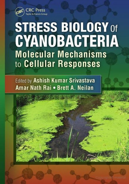 Stress Biology of Cyanobacteria