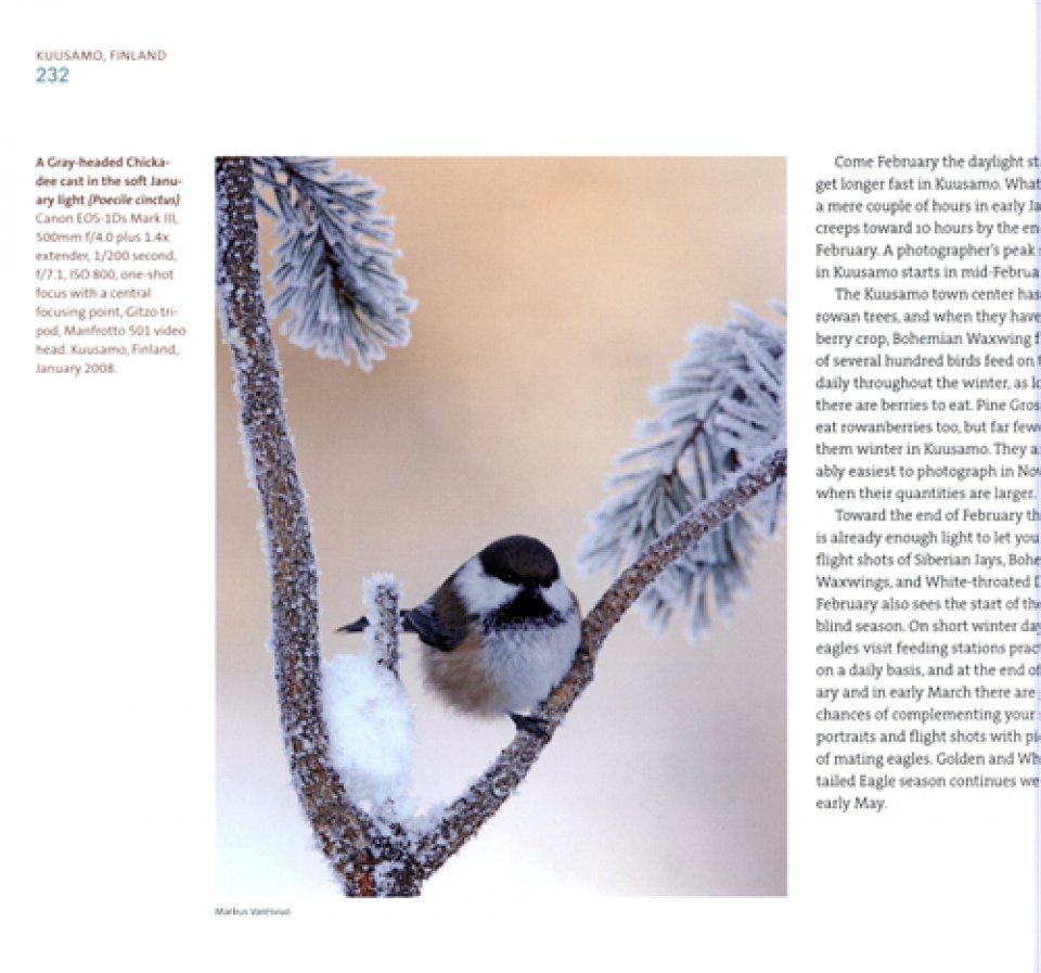 Beginner's Guide to Bird & Wildlife Photography [Book]