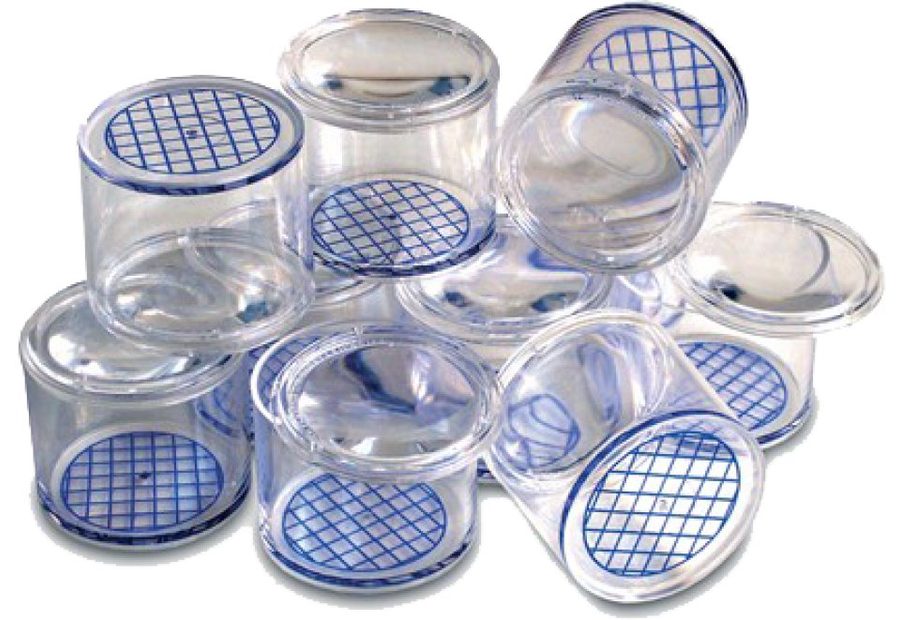 Bug Pots (Set of 10)