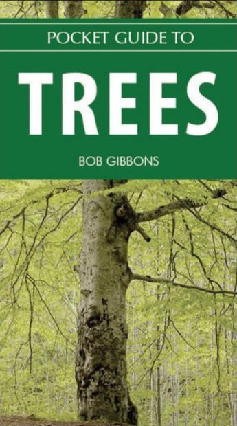 Pocket Guide to Trees