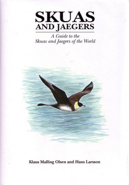 Skuas and Jaegers