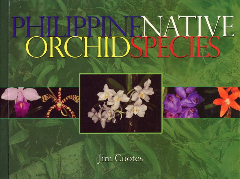 Philippine Native Orchid Species