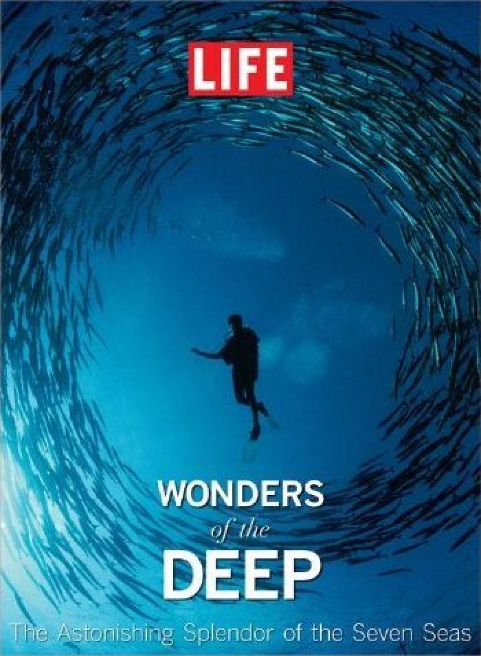 Life is wonder. Wonders of Life. RMB - Wonders of Life.