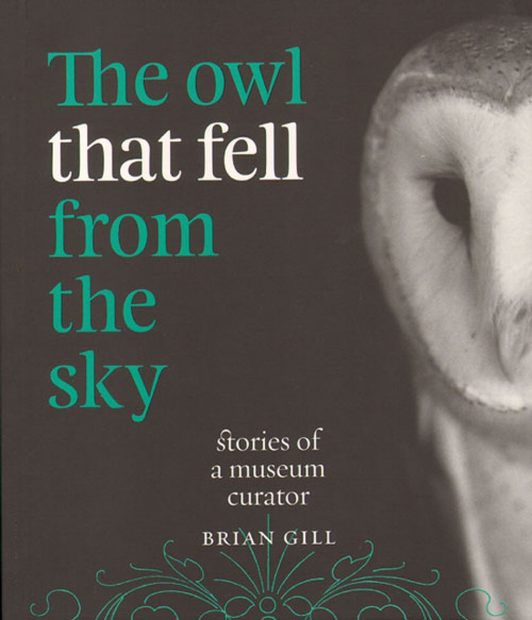 The Owl That Fell from the Sky