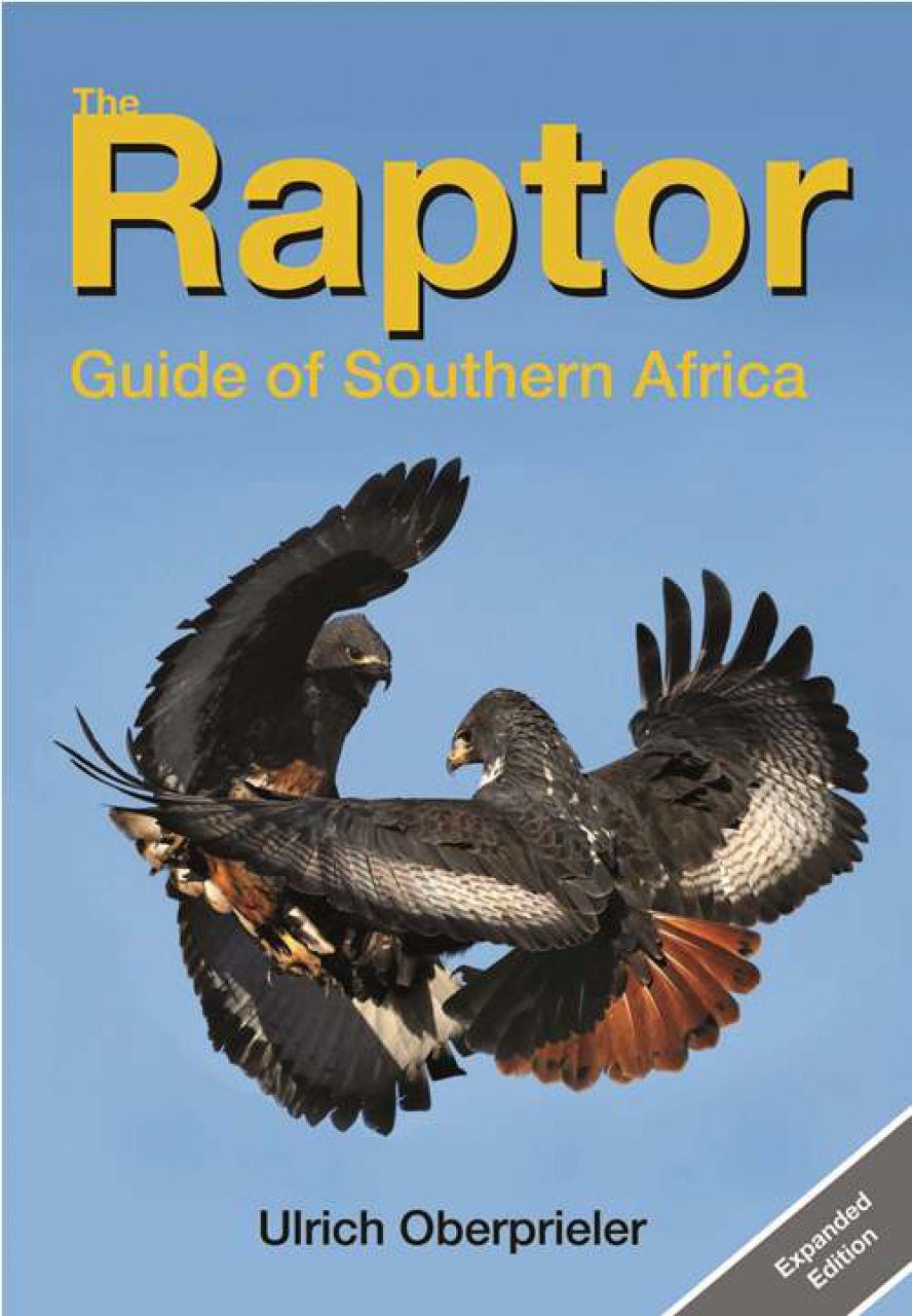 A Field Guide to Unusual Raptors of the Southern US