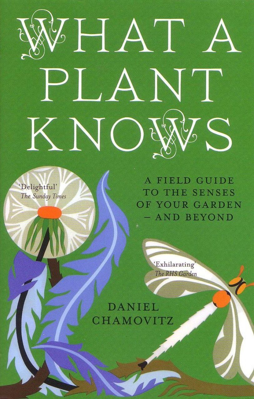 The knowing field. What a Plant knows.