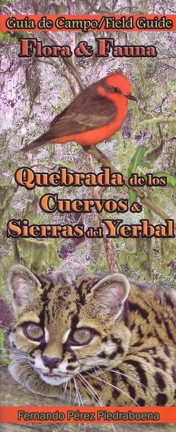 Flora & Fauna of the Crow Creek and Yerbal Sierras / Flora & Fauna de Quebrada de los Cuervos y Sierras del Yerbal