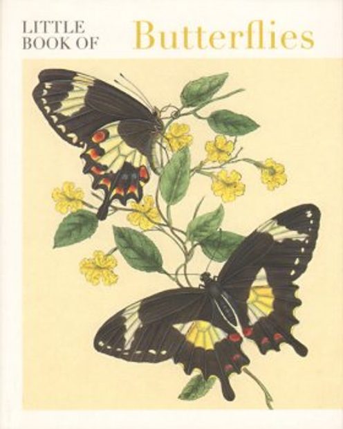 Little Book of Butterflies