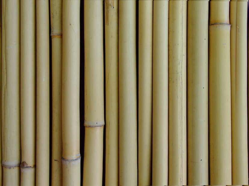 Bamboo Canes